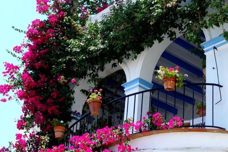 Pension El Torreon Мохакар Экстерьер фото