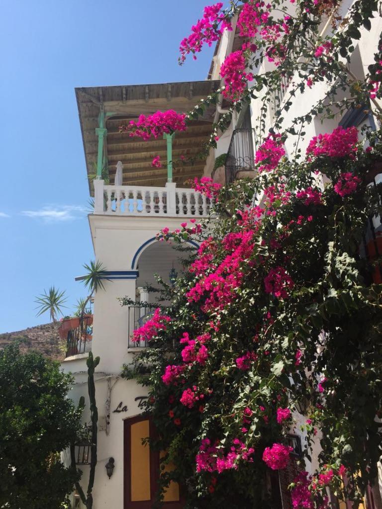 Pension El Torreon Мохакар Экстерьер фото
